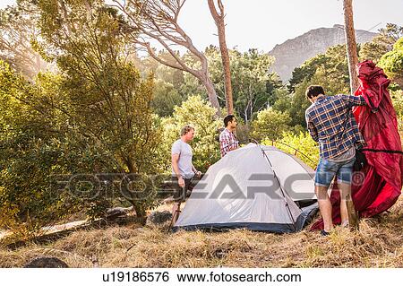 Three men putting up dome tent in forest, Deer Park, Cape Town, South Africa View Large Photo Image Stock Photograph - Three men putting up dome tent in forest, Deer Park, Cape Town, South Africa. Fotosearch