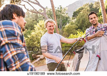 Three men putting up tent in forest, Deer Park, Cape Town, South Africa View Large Photo Image Stock Photo - Three men putting up tent in forest, Deer Park, Cape Town, South Africa. Fotosearch