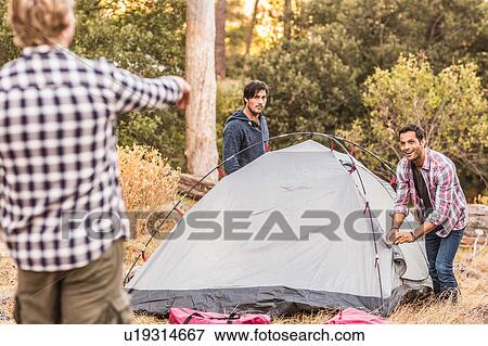 Three men putting up tent together in forest, Deer Park, Cape Town, South Africa View Large Photo Image Stock Photo - Three men putting up tent together in forest, Deer Park, Cape Town, South Africa. Fotosearch