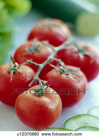 Stock Image - Tomatoes. Fotosearch