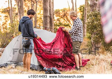 Two men concentrating on putting up tent in forest, Deer Park, Cape Town, South Africa View Large Photo Image Stock Image - Two men concentrating on putting up tent in forest, Deer Park, Cape Town, South Africa. Fotosearch