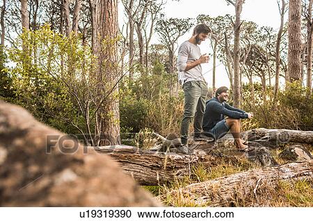 Two men drinking coffee on fallen tree in forest, Deer Park, Cape Town, South Africa View Large Photo Image Stock Image - Two men drinking coffee on fallen tree in forest, Deer Park, Cape Town, South Africa. Fotosearch