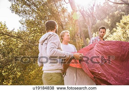 Stock Photo - Two men erecting dome tent in forest, Deer Park, Cape Town, South Africa. Fotosearch