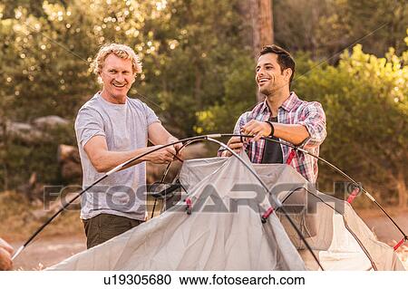Stock Image - Two men putting up dome tent in forest, Deer Park, Cape Town, South Africa. Fotosearch