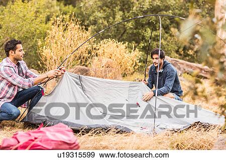 Two men putting up tent in forest, Deer Park, Cape Town, South Africa View Large Photo Image Stock Photo - Two men putting up tent in forest, Deer Park, Cape Town, South Africa. Fotosearch