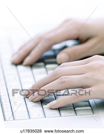 Typing on a laptop View Large Photo Image Stock Photo - Typing on a laptop. Fotosearch