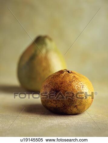 Ugli fruit, close-up View Large Photo Image Stock Photography - Ugli fruit, close-up. Fotosearch