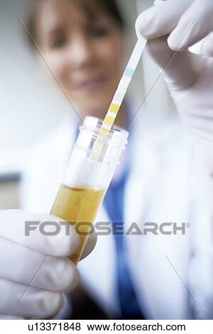 Urine analysis View Large Photo Image Stock Photo - Urine analysis. Fotosearch