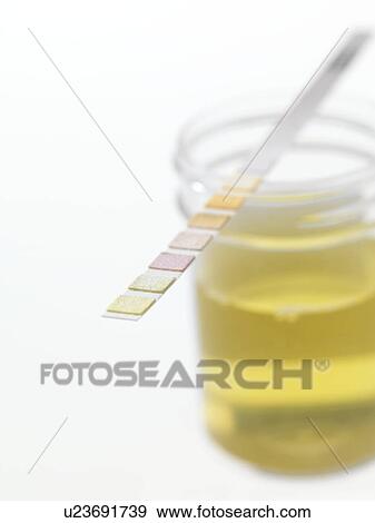 Urine analysis View Large Photo Image Stock Photo - Urine analysis. Fotosearch