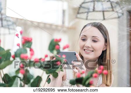 Stock Photography - View through glass of woman using smartphone to photograph plants. Fotosearch