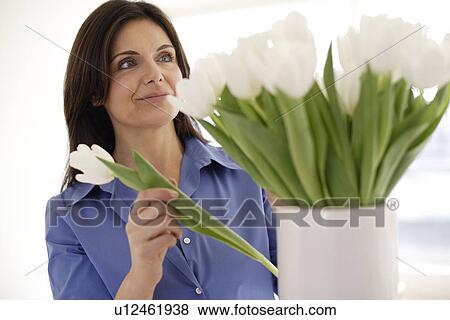 Woman arranging tulips View Large Photo Image Stock Photo - Woman arranging tulips. Fotosearch