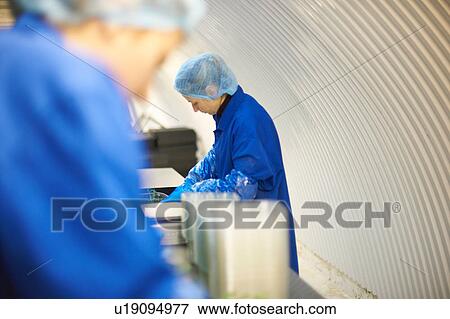 Stock Photo - Woman wearing hair net working on production line. Fotosearch