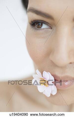 Woman with flower View Large Photo Image Stock Image - Woman with flower. Fotosearch