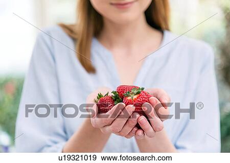 Stock Photo - Woman with hands cupped holding strawberries. Fotosearch
