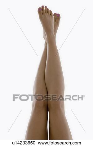 Woman's legs View Large Photo Image Stock Image - Woman's legs. Fotosearch