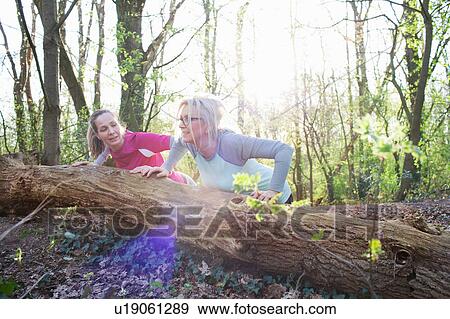 Women in forest doing press ups against fallen tree View Large Photo Image Stock Photo - Women in forest doing press ups against fallen tree. Fotosearch