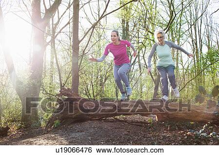 Women in forest jumping over fallen tree View Large Photo Image Stock Photograph - Women in forest jumping over fallen tree. Fotosearch