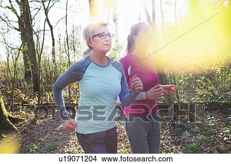 Picture - Women jogging in forest. Fotosearch