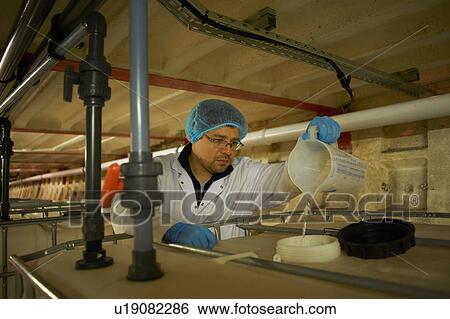Worker wearing hair net pouring liquid from jug into water tank View Large Photo Image Stock Photograph - Worker wearing hair net pouring liquid from jug into water tank. Fotosearch