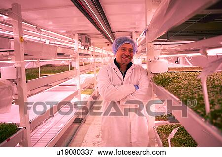 Stock Photo - Worker wearing overall and hairnet looking at camera, arms crossed smiling. Fotosearch