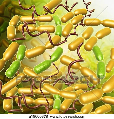 Stock Photo - Yersinia pestis bacteria, illustration. Fotosearch