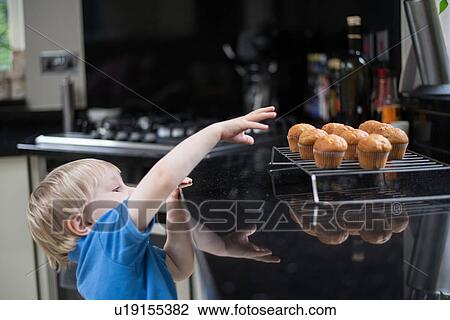 Stock Image - Young boy in kitchen, reaching up for freshly baked muffins. Fotosearch