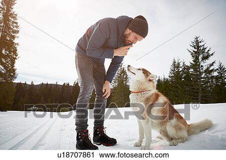 Stock Image - Young man training husky in snow covered landscape, Elmau, Bavaria, Germany. Fotosearch