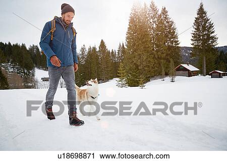 Young man walking husky in snow covered landscape, Elmau, Bavaria, Germany View Large Photo Image Stock Image - Young man walking husky in snow covered landscape, Elmau, Bavaria, Germany. Fotosearch