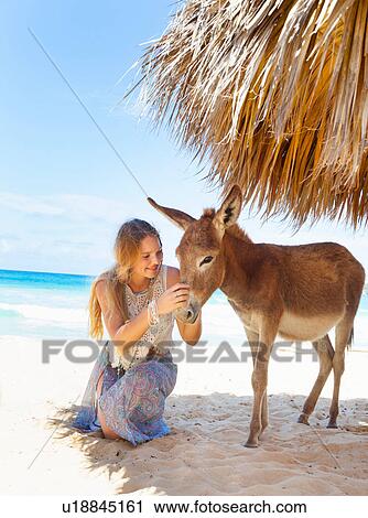 Stock Image - Young woman kneeling to pet donkey on beach, Dominican Republic, The Caribbean. Fotosearch