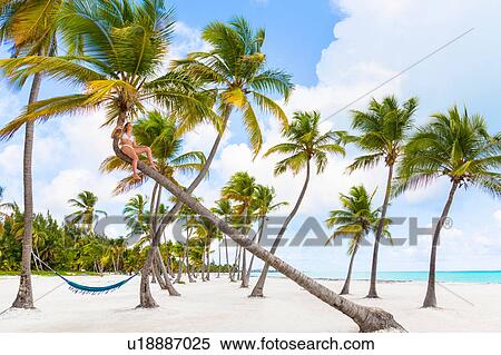 Young woman on top of palm tree looking out to sea, Dominican Republic, The Caribbean View Large Photo Image Stock Photography - Young woman on top of palm tree looking out to sea, Dominican Republic, The Caribbean. Fotosearch