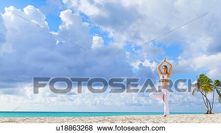 Young woman practising yoga tree pose on beach, Dominican Republic, The Caribbean View Large Photo Image Stock Photo - Young woman practising yoga tree pose on beach, Dominican Republic, The Caribbean. Fotosearch