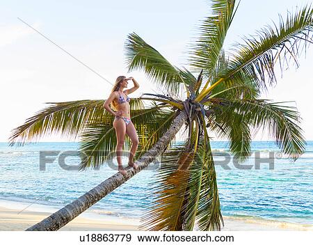 Young woman standing looking out from palm tree at beach, Dominican Republic, The Caribbean View Large Photo Image Stock Photo - Young woman standing looking out from palm tree at beach, Dominican Republic, The Caribbean. Fotosearch