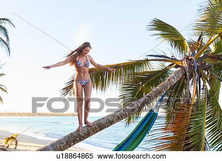 Young woman standing on top of palm tree at beach, Dominican Republic, The Caribbean View Large Photo Image Stock Photography - Young woman standing on top of palm tree at beach, Dominican Republic, The Caribbean. Fotosearch
