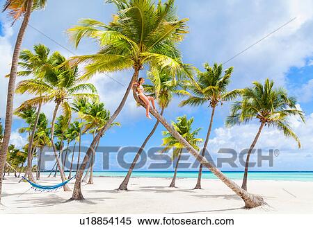 Stock Photography - Young woman wearing bikini sitting at top of beach palm tree, Dominican Republic, The Caribbean. Fotosearch