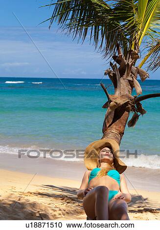 Young woman wearing bikini sunbathing on palm tree at beach, Dominican Republic, The Caribbean View Large Photo Image Stock Image - Young woman wearing bikini sunbathing on palm tree at beach, Dominican Republic, The Caribbean. Fotosearch