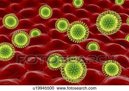 Stock Image - Zika virus infecting skin, illustration. Fotosearch