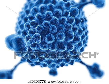 Adenovirus, artwork View Large Photo Image Stock Photo - Adenovirus, artwork. Fotosearch