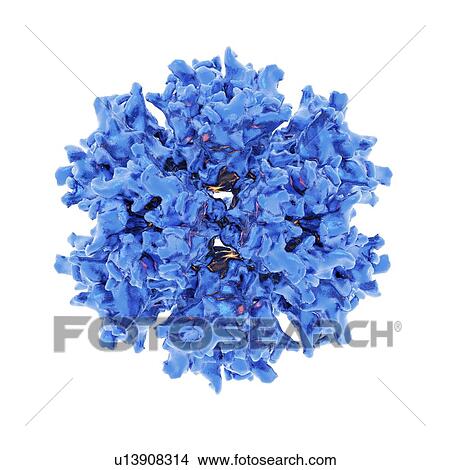 Adenovirus particle View Large Photo Image Picture - Adenovirus particle. Fotosearch