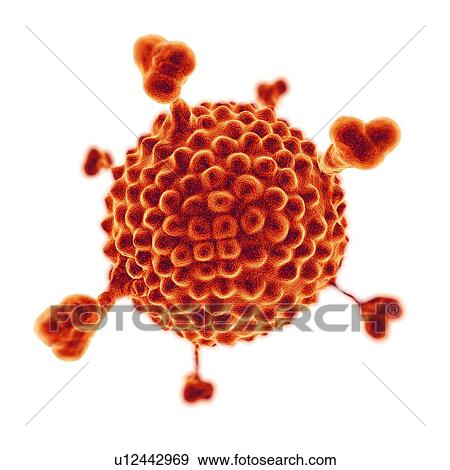 Adenovirus View Large Photo Image Stock Photo - Adenovirus. Fotosearch