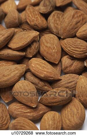 Almonds View Large Photo Image Stock Photo - Almonds. Fotosearch