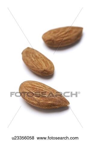 Almonds View Large Photo Image Stock Photo - Almonds. Fotosearch