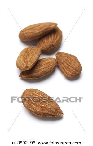 Almonds View Large Photo Image Stock Photograph - Almonds. Fotosearch