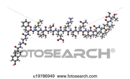 Stock Photo - Alpha-endorphin, molecular model. Fotosearch