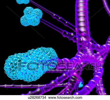 Alveoli, artwork View Large Photo Image Picture - Alveoli, artwork. Fotosearch