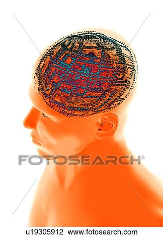 Artificial intelligence, artwork View Large Photo Image Stock Image - Artificial intelligence, artwork. Fotosearch