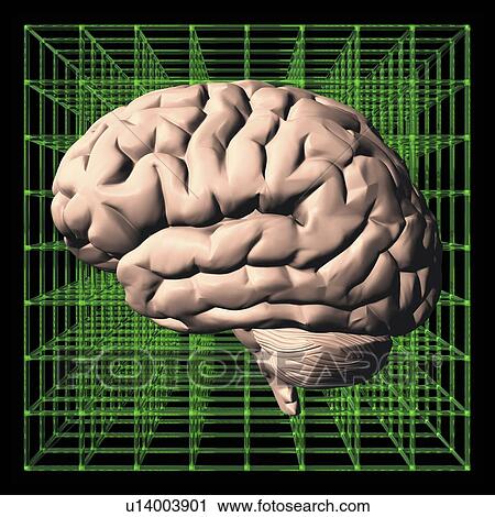 Stock Image - Artificial intelligence, conceptual image. Fotosearch