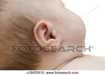 Baby boy's ear View Large Photo Image Stock Photography - Baby boy's ear. Fotosearch