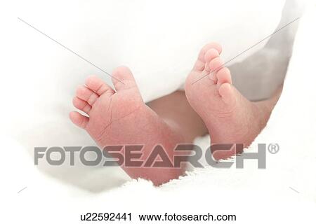 Baby's feet View Large Photo Image Stock Image - Baby's feet. Fotosearch