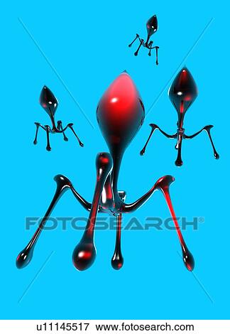 Bacteriophages, artwork View Large Photo Image Stock Photo - Bacteriophages, artwork. Fotosearch