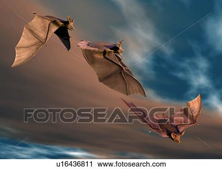 Stock Image - Bats in flight, artwork. Fotosearch